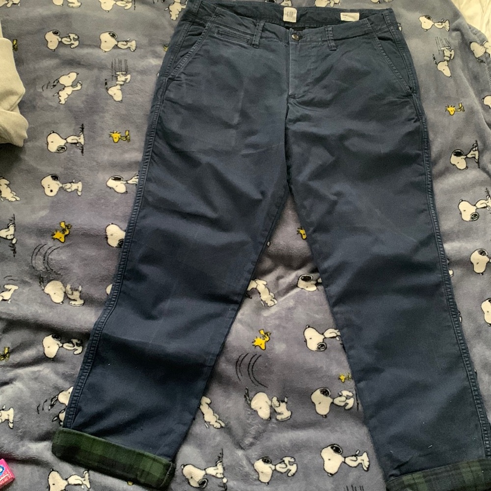 Flannel lined GAP pants (NWOT)